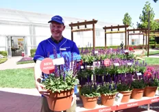 Cor de Jong of Kieft Seeds presenting Salvia Salvatore Blue. It is claimed that this salvia features the largest spikes and the deepest colored calyx, spikes and flower in Salvia nemorosa from seed. 